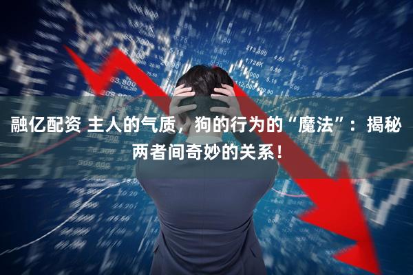 融亿配资 主人的气质，狗的行为的“魔法”：揭秘两者间奇妙的关系！